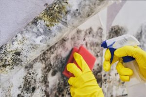 Como-tirar-mofo-da-parede