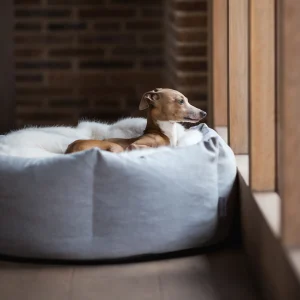 charley-chau-luxury-ducky-donut-dog-bed-china-gray-black-friday-offer_1280x1280_crop_center