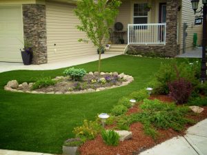 grama-se-espalhar-mais-rapido