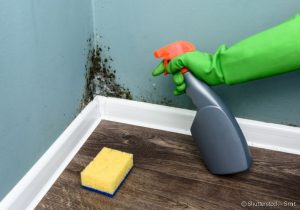 limpando mofo com alcool