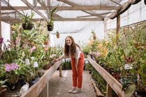orquidário+floricultura+paraiso+das+flores+encantado