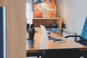 7 plantas para sua mesa de trabalho: confira as melhores espécies para esse ambiente