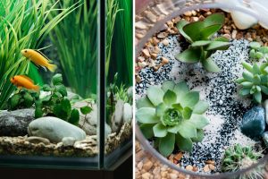 aquários e terrários tendência 2024 pinterest