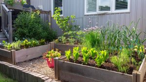 Jardim pequeno com horta: as dicas mais valiosas para ter temperos frescos