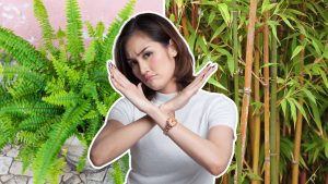 Estas plantas estão dando o que falar – e você não vai querer nenhuma no seu jardim!