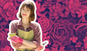 Suculentas como propagar