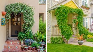 Fachadas com flores e plantas: 7 dores de cabeça com manutenção que ninguém te contou