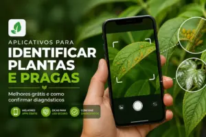 Aplicativos para identificar plantas e pragas: melhores grátis e como confirmar diagnósticos